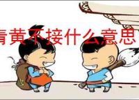 网友夜间偶遇蔡依林吴青峰蔡健雅同游：已经十点了蔡依林还没睡 _ 游民星空 GamerSky.com
