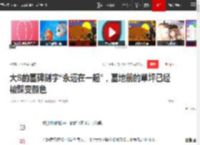 大S的墓碑刻字“永远在一起”，墓地前的草坪已经被踩变颜色|大s|韩国|小s|挚爱|具俊晔_网易订阅