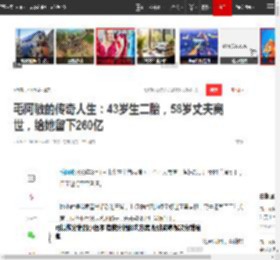 毛阿敏的传奇人生：43岁生二胎，58岁丈夫离世，给她留下260亿|田震|那英|演唱会|绿叶对根的情意_网易订阅